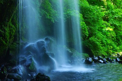 🏞️ 석양의 폭포(유히노타키) 이미지 2